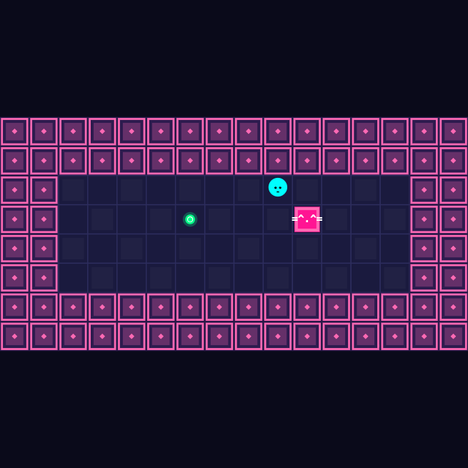 Cyber Kitty Puzzle